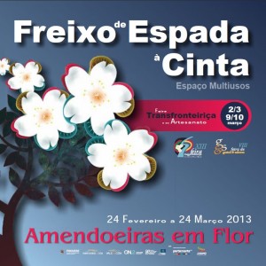Amendoeiras em Flor - Freixo de Espada à Cinta