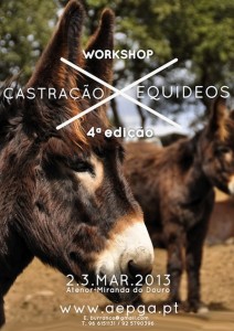 Workshop de Castração de Equídeos - Miranda do Douro