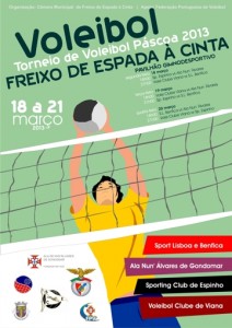 Voleibol - Torneio de Voleibol Páscoa 2013 - Freixo de Espada à Cinta