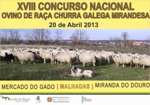 XVIII Concurso Nacional Ovino de Raça Churra Galega Mirandesa - Miranda do Douro
