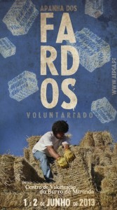 Apanha dos Fardos - Miranda do Douro