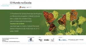 Exposição "Insetos em Ordem" - Bragança
