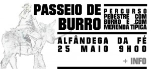 Passeio de Burro - Alfândega da Fé