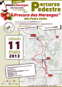 Percurso Pedestre: À Procura dos Morangos
