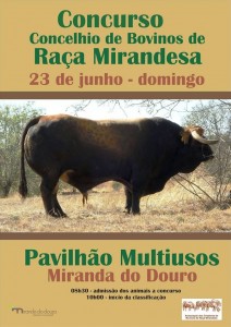 Concurso Concelhio de Bovinos de Raça Mirandesa - Miranda do Douro