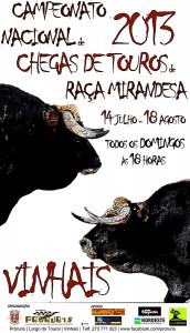 Participe no Campeonato Nacional de Chega de Touros de Raça Mirandesa 2013 - Bragança