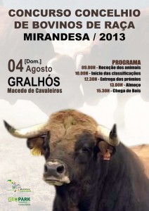 Participe no Concurso Concelhio de Bovinos de Raça Mirandesa 2013 - Macedo de Cavaleiros