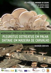 Participe no Workshop Prático de Produção de Cogumelos - Miranda do Douro