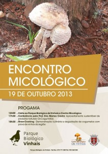Participe no Encontro Micológico - Vinhais