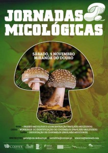 Jornadas Micológicas em Miranda do Douro