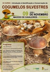 Participe no IX Curso Introdução à Identificação e Conservação de Cogumelos Silvestres - Macedo de Cavaleiros