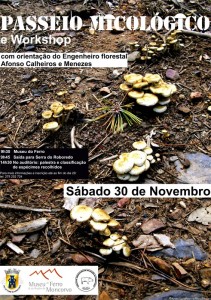 Participe no Passeio Micológico e Workshop - Torre de Moncorvo