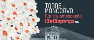 Participe no Flor da Amendoeira 2014 - Torre de Moncorvo