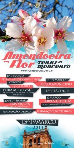 Participe na Amendoeira em Flor - Torre de Moncorvo