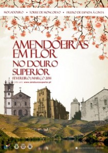 Participe nas Amendoeiras em Flor no Douro Superior - Mogadouro, Torre de Moncorvo e Freixo de Espada à Cinta