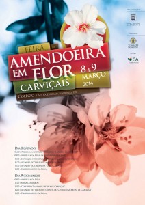 Praticipe na Feira da Amendoeira em Flor - Carviçais - Torre de Moncorvo