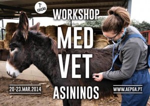Participe no Workshop de Medicina Veterinária de Asininos - Miranda do Douro