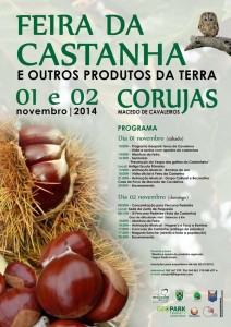 Participe na Feira da Castanha - Macedo de Cavaleiros