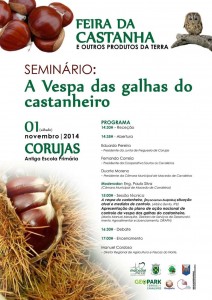 Participe na Feira da Castanha - Seminário - Macedo de Cavaleiros