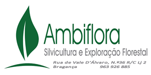 Ambiflora